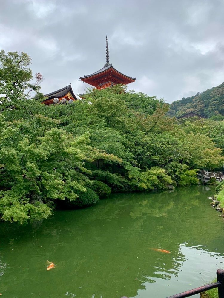 nico☺︎さんが投稿した清水寺音羽の滝に関する口コミの画像
