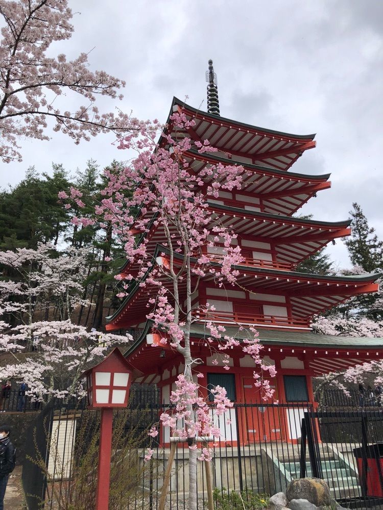 take.aさんが投稿した新倉浅間神社に関する口コミの画像