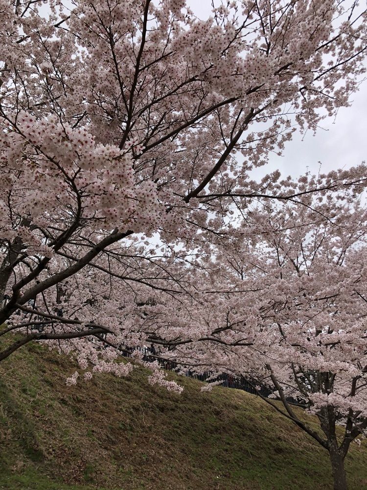 take.aさんが投稿した新倉浅間神社に関する口コミの画像