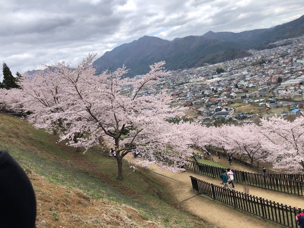 take.aさんが投稿した新倉浅間神社に関する口コミの画像