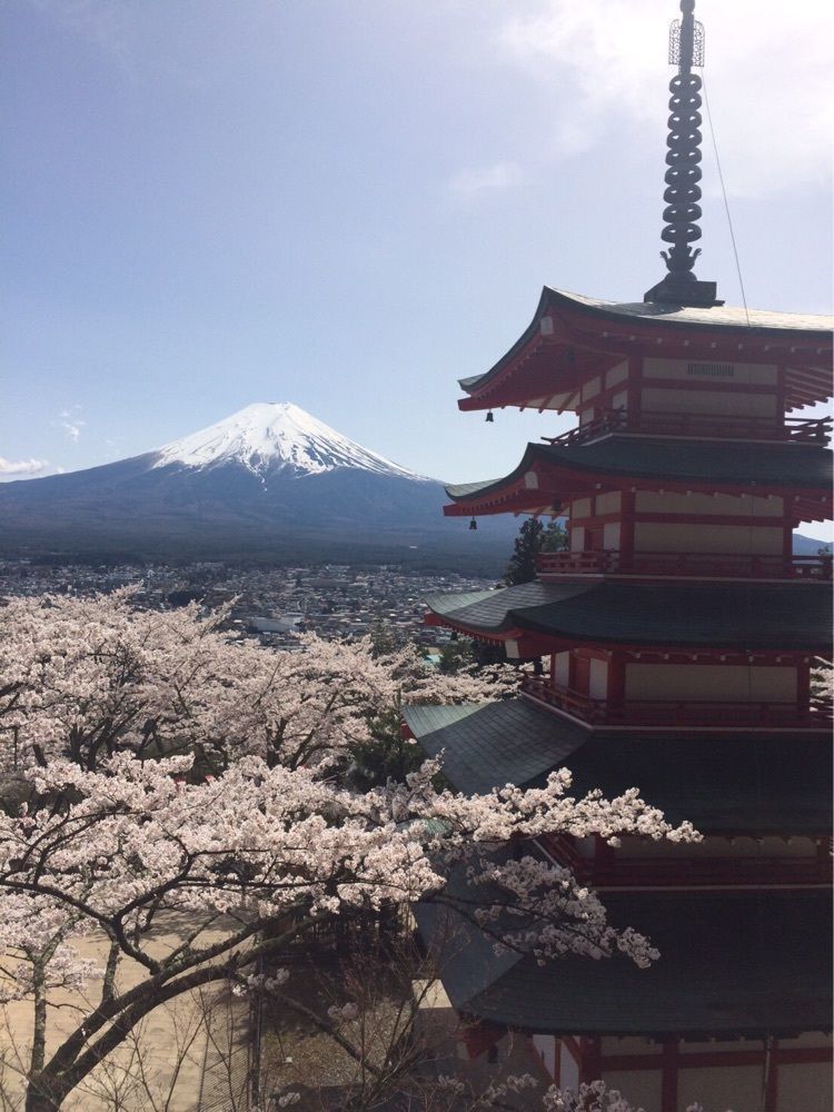 take.aさんが投稿した新倉浅間神社に関する口コミの画像