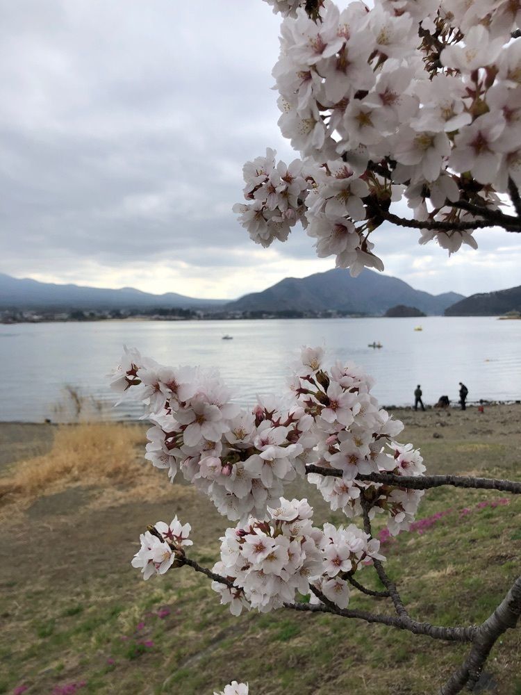 take.aさんが投稿した河口湖に関する口コミの画像