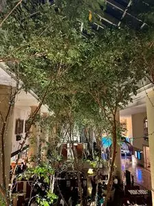 オリエンタルホテル東京ベイ