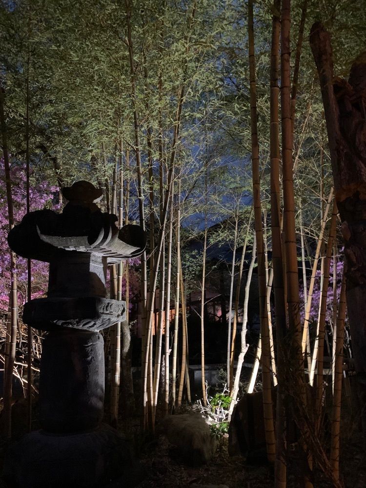 かよさんが投稿した竹寺（八王寺）に関する口コミの画像