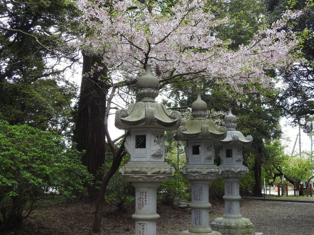 junkunさんが投稿した息栖神社に関する口コミの画像