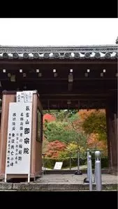 天得院
