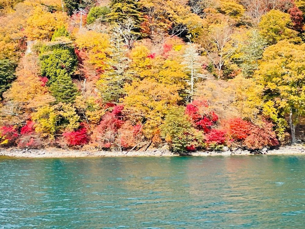みーなさんが投稿した中禅寺湖遊覧船に関する口コミの画像
