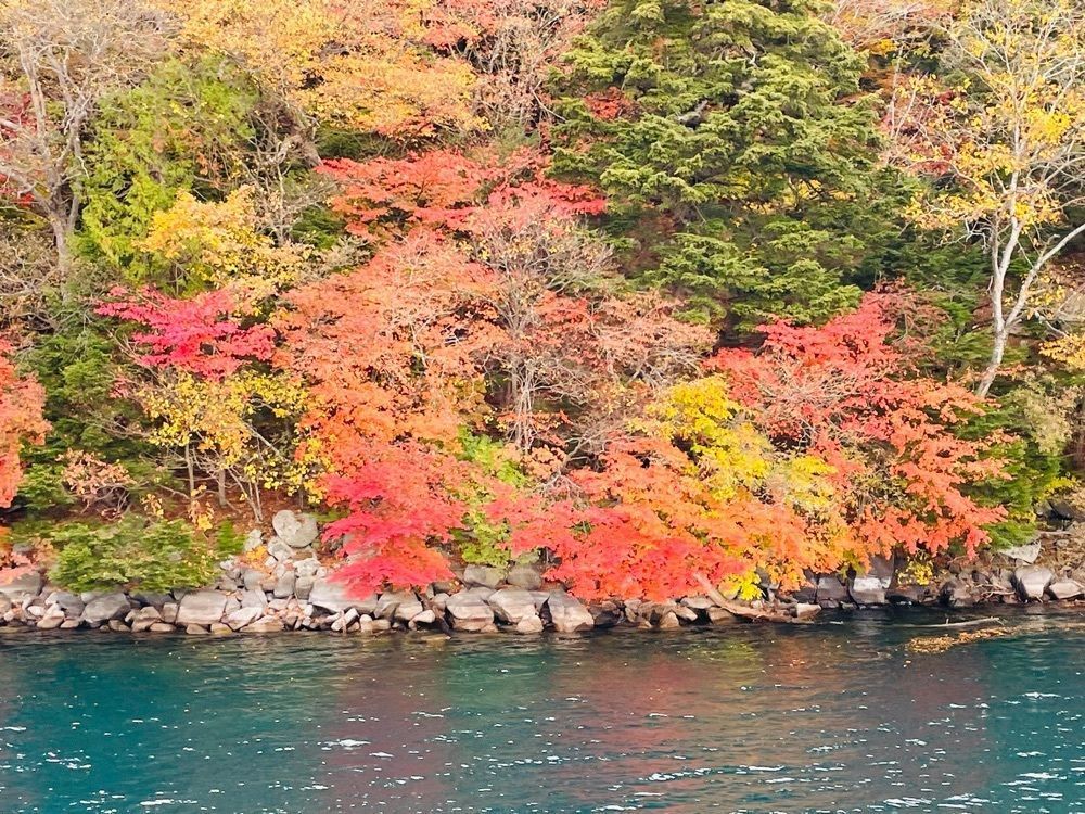 みーなさんが投稿した中禅寺湖遊覧船に関する口コミの画像