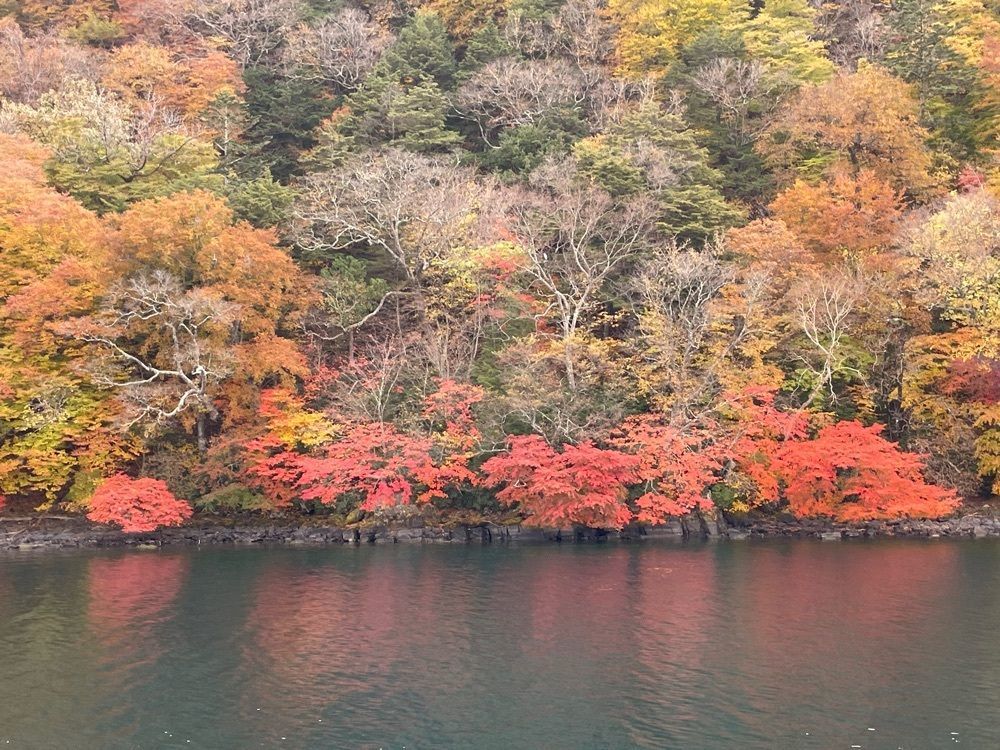 みーなさんが投稿した中禅寺湖遊覧船に関する口コミの画像