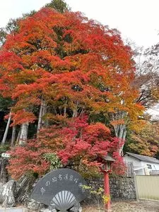 日光 二荒山神社 中宮祠　宝物館