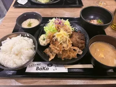 しょうが焼きBaKa 赤坂見附店