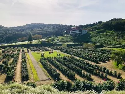 秋田国際ダリア園
