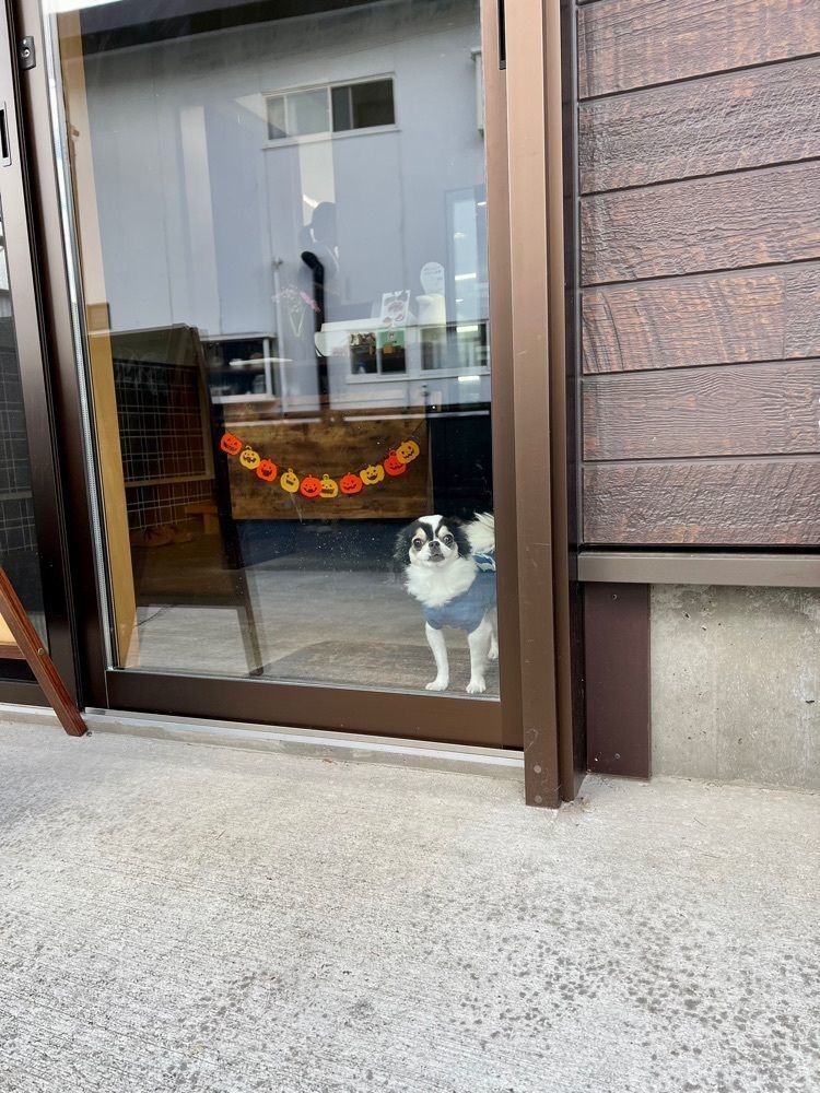 yuyuさんが投稿したケーキ叶屋に関する口コミの画像