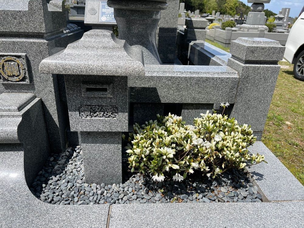surumeさんが投稿した大野城市に関する口コミの画像