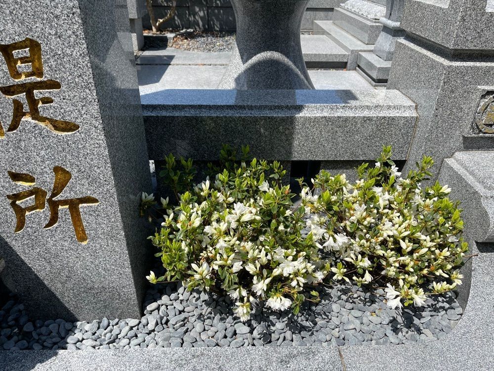 surumeさんが投稿した大野城市に関する口コミの画像