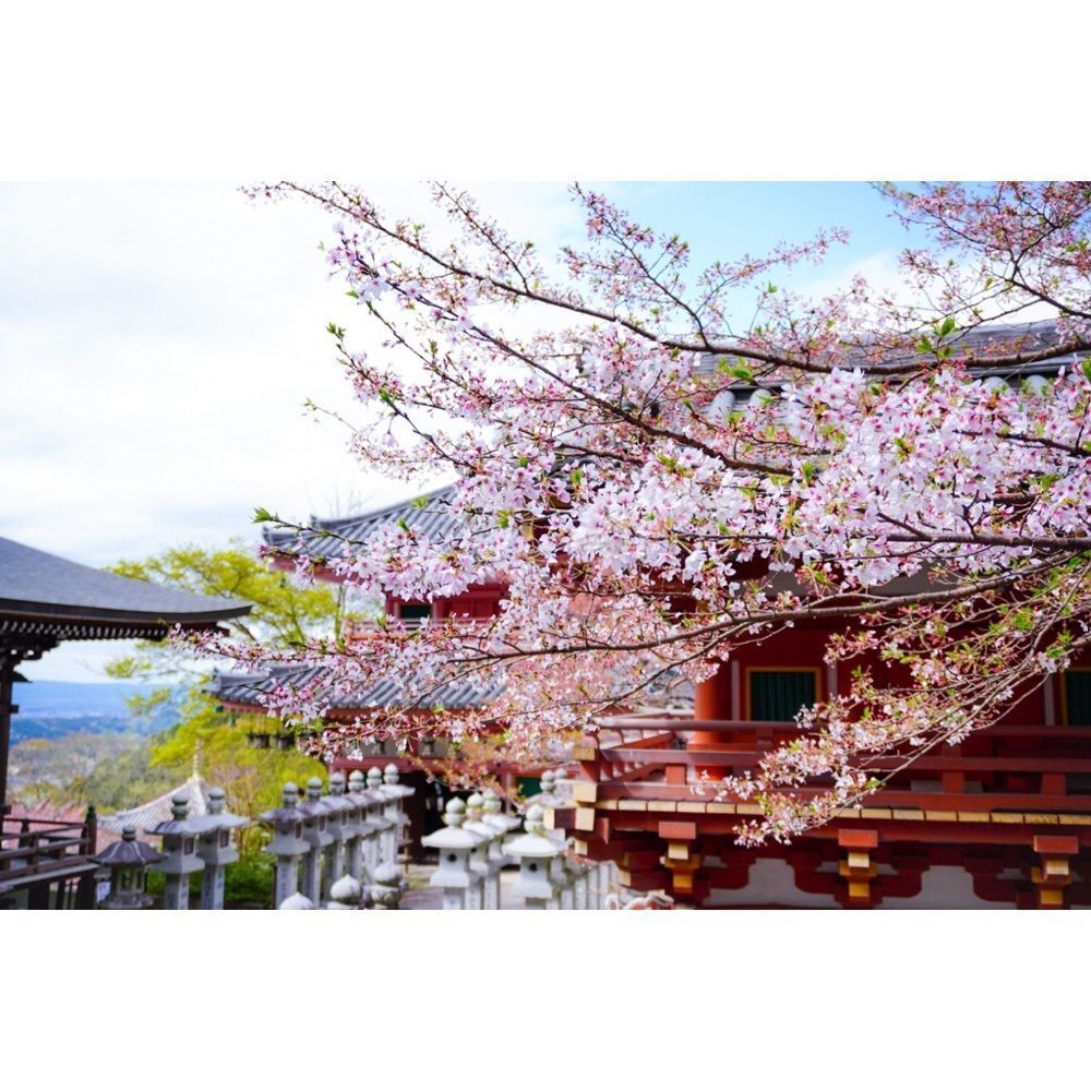 urban_garden_243aさんが投稿した壺阪山駅に関する口コミの画像