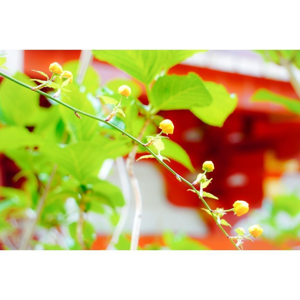 urban_garden_243aさんが投稿した壺阪山駅に関する口コミの画像