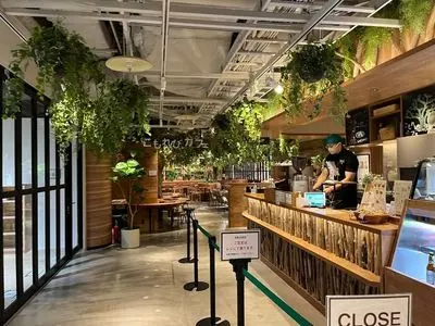 こもれびカフェ スイーツ&カフェ（こもれびカフェ Sweets & Cafe）
