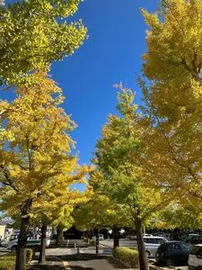 山梨県立美術館