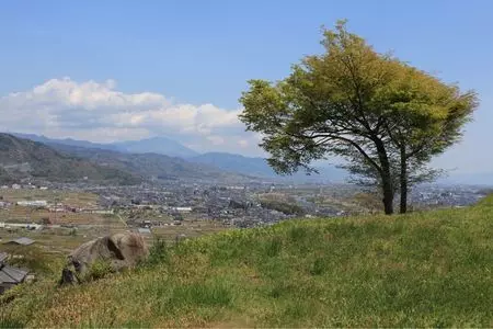 姨捨の棚田