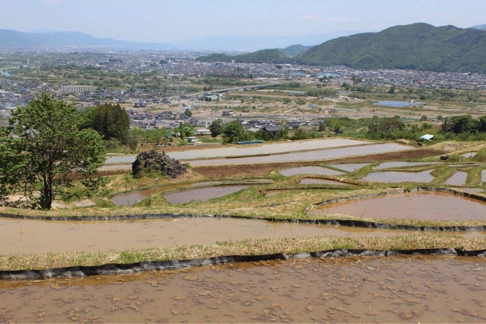 BOM-BA-YEさんが投稿した姨捨の棚田に関する口コミの画像