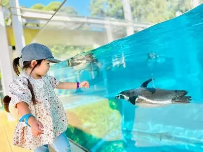 九十九島動植物園森きらら