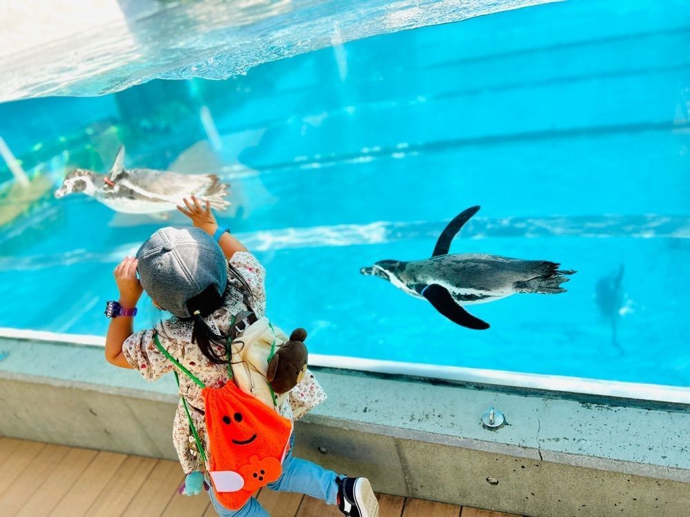 ま̤̮き̤̮さんが投稿した九十九島動植物園森きららに関する口コミの画像