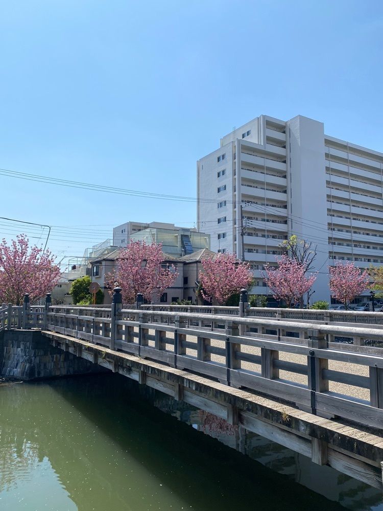 🤎アイヒンまま🤎さんが投稿した新川千本桜に関する口コミの画像