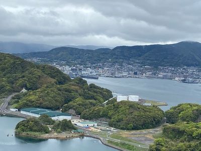 展海峰の菜の花 2枚目