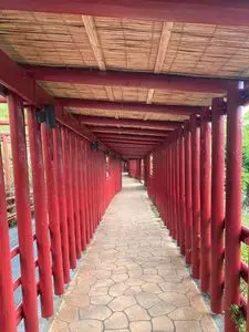 百年古家 大家（ひゃくねんこか うふやー）