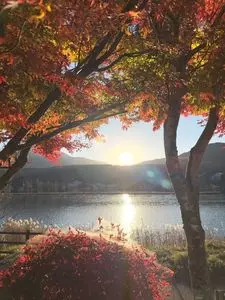 白樺湖