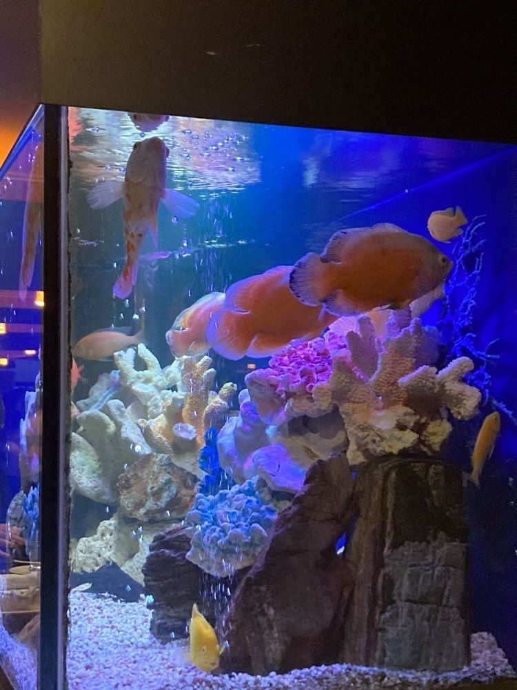 Catherine.yさんが投稿したシーフードレストラン メヒコ 東京ベイ有明店（seafoods　restaurant　MEXICO）に関する口コミの画像