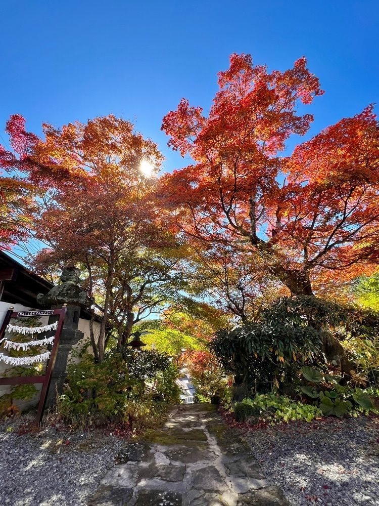 yuyuさんが投稿した日晃寺に関する口コミの画像