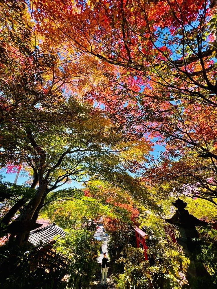 yuyuさんが投稿した日晃寺に関する口コミの画像