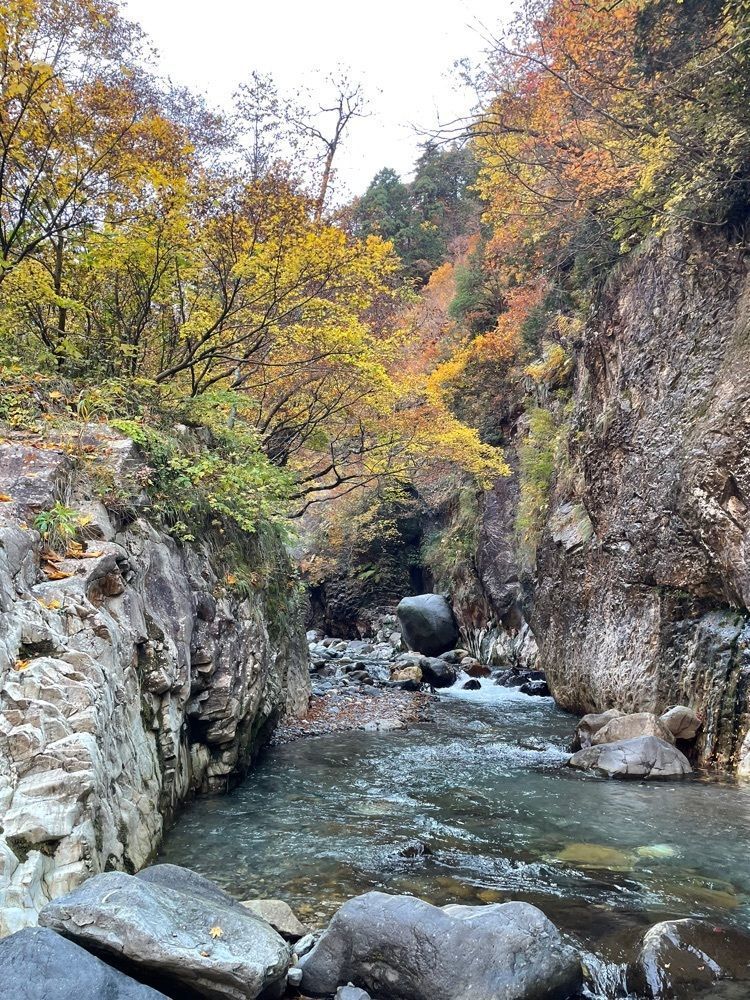 らぐ🏉🍺ビアさんが投稿した姥ケ滝に関する口コミの画像