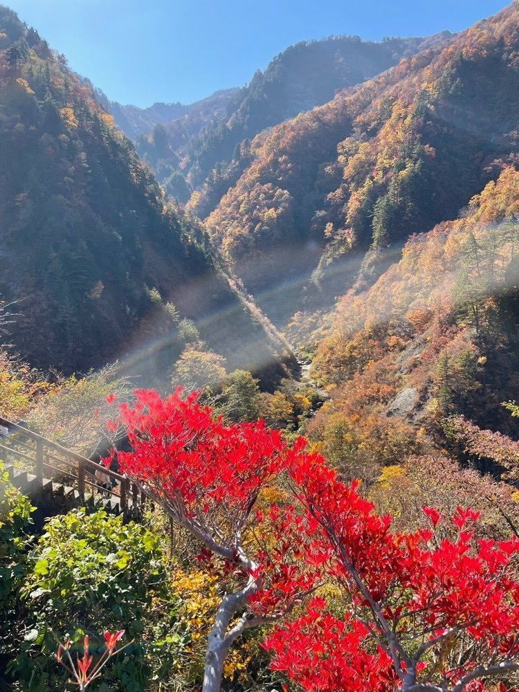 らぐ🏉🍺ビアさんが投稿した姥ケ滝に関する口コミの画像