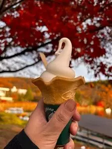 喫茶 蓼科アイス（タテシナ）