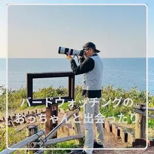 加佐の岬 1枚目