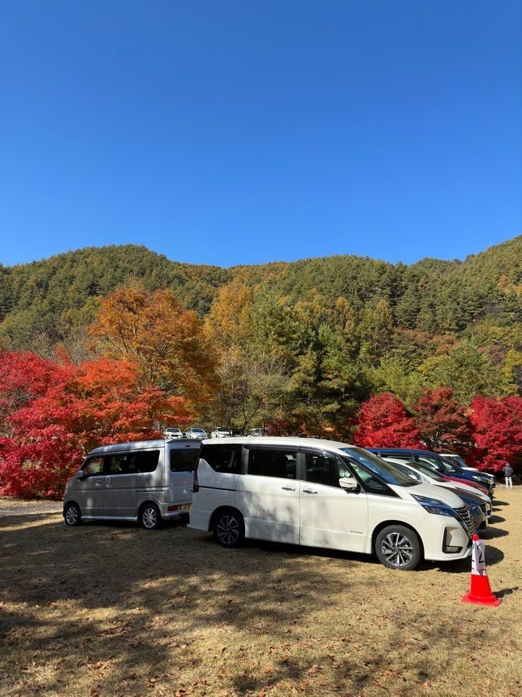 からっ風②さんが投稿した沢川渓谷に関する口コミの画像