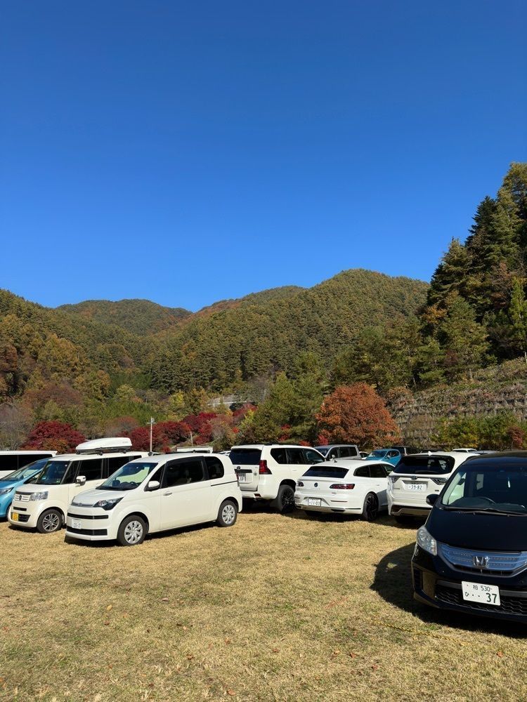 からっ風②さんが投稿した沢川渓谷に関する口コミの画像