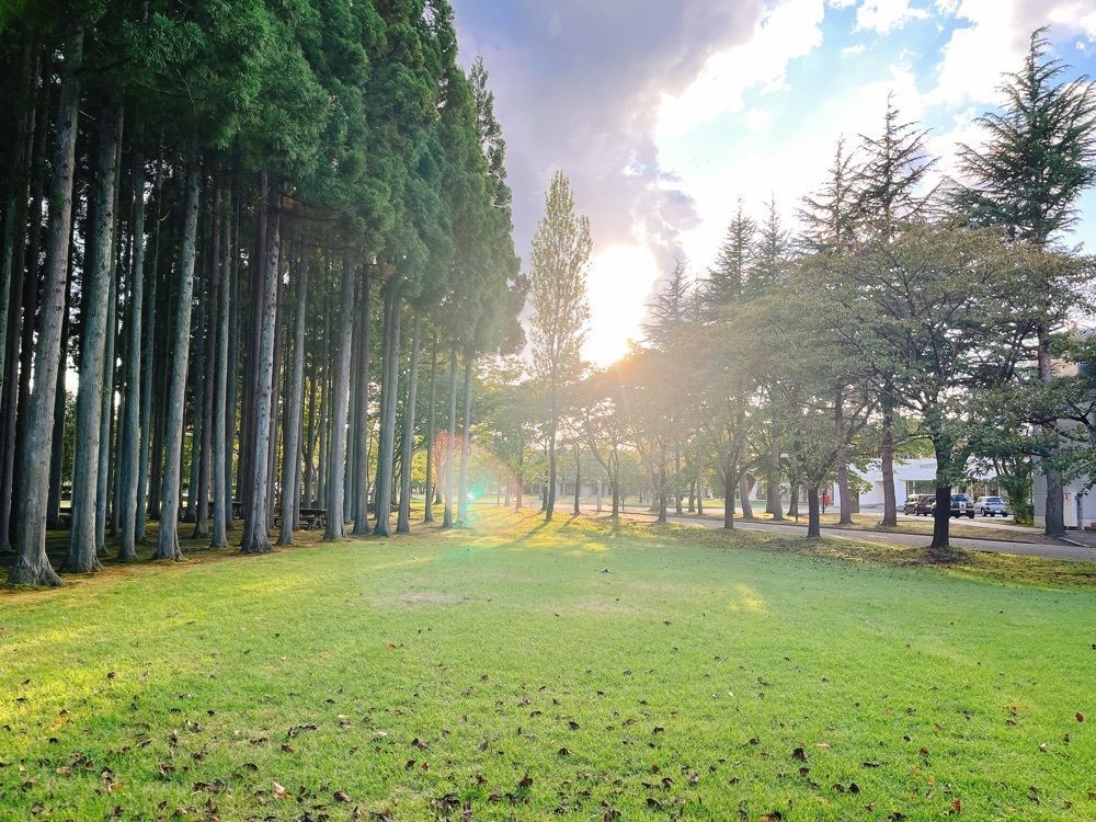 猫なぎ。さんが投稿した国際教養大学 中嶋記念図書館に関する口コミの画像