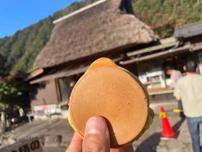 山法師