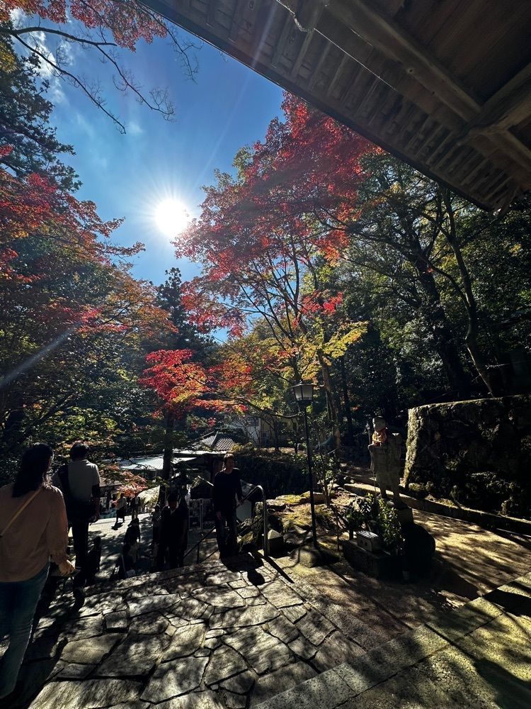 にゃんまろさんが投稿した野田屋（のだや）に関する口コミの画像