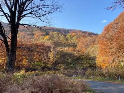 山田旅館