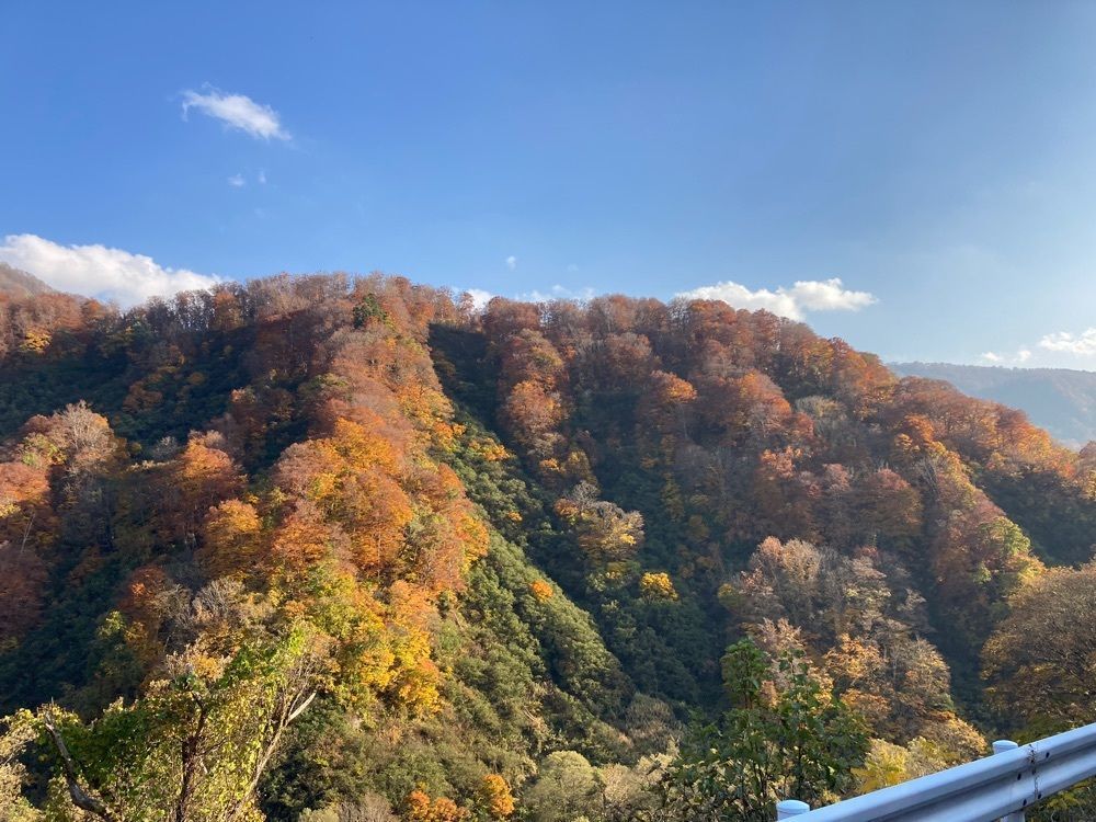Howl Monさんが投稿した山田旅館に関する口コミの画像