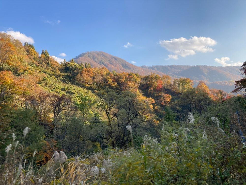 Howl Monさんが投稿した山田旅館に関する口コミの画像