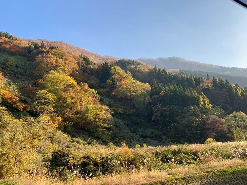 Howl Monさんが投稿した山田旅館に関する口コミの画像