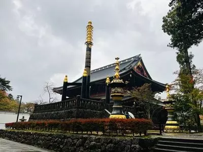 輪王寺の金剛桜