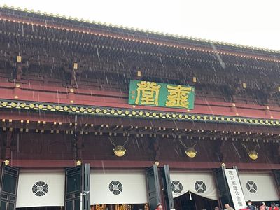 輪王寺の金剛桜 2枚目