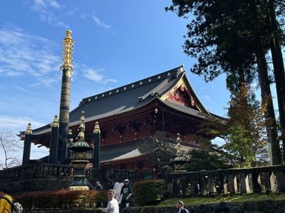 輪王寺の金剛桜 4枚目